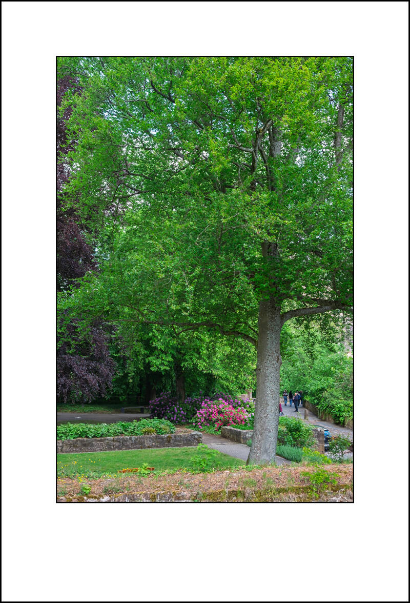 dscf8137f-standard.jpg