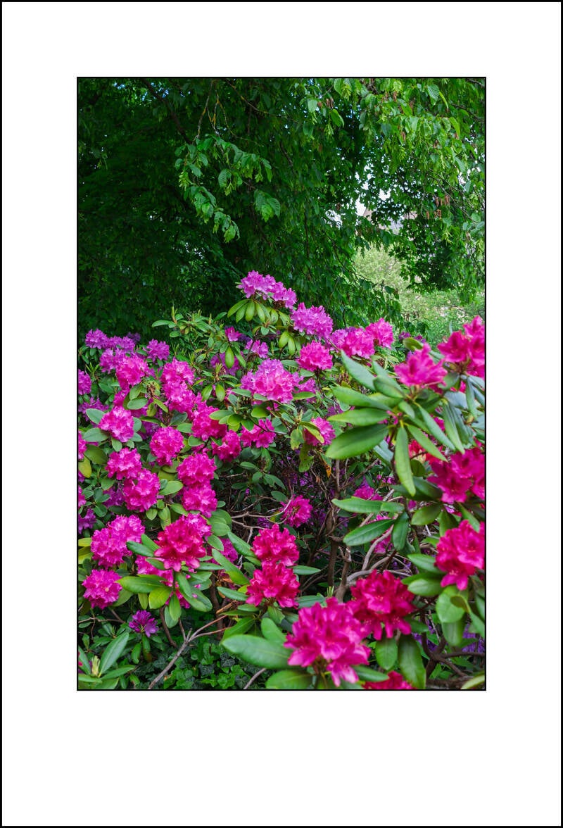 dscf8138f-standard.jpg