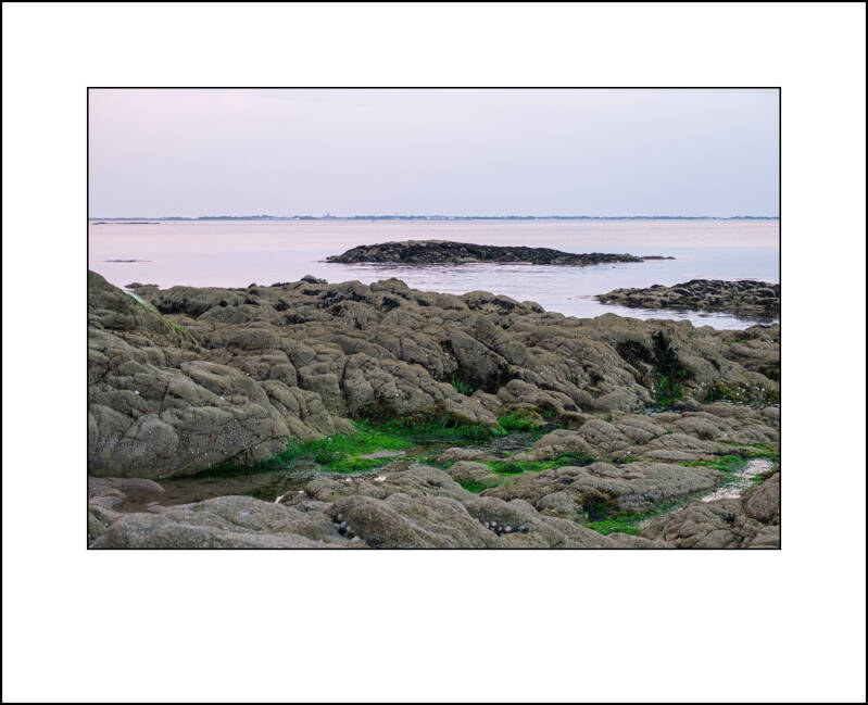dscf8169f-standard.jpg