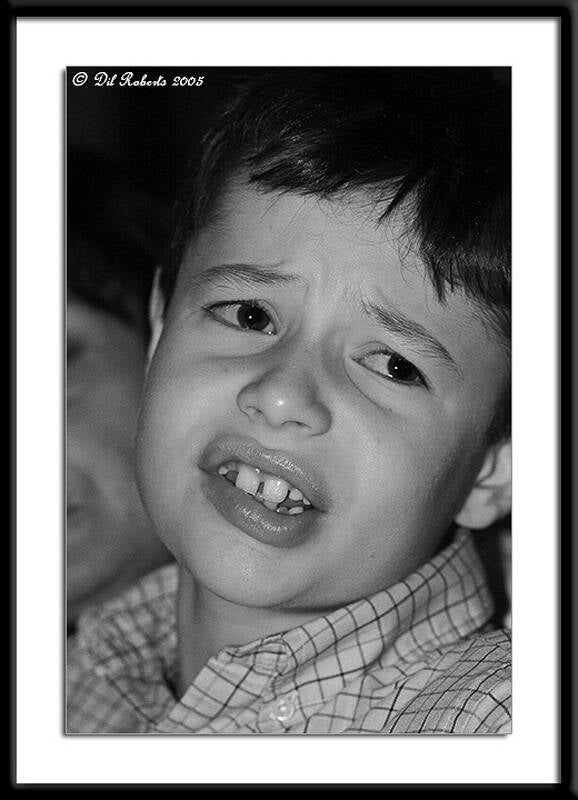 img_5793stf-standard-6q8gxm.jpg