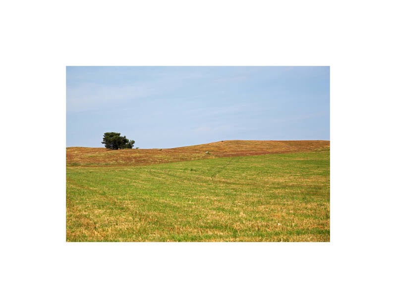 img_8537sf-standard.jpg