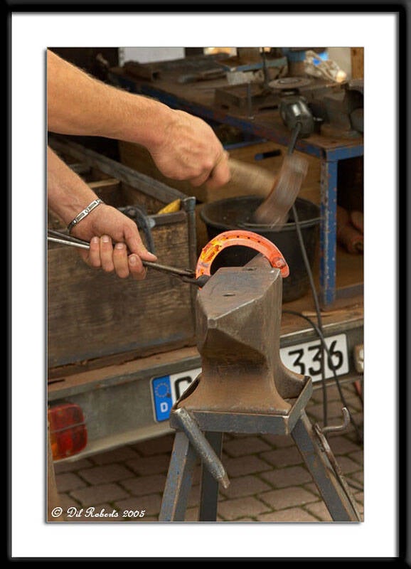 img_9158stf-standard-qpe70t.jpg