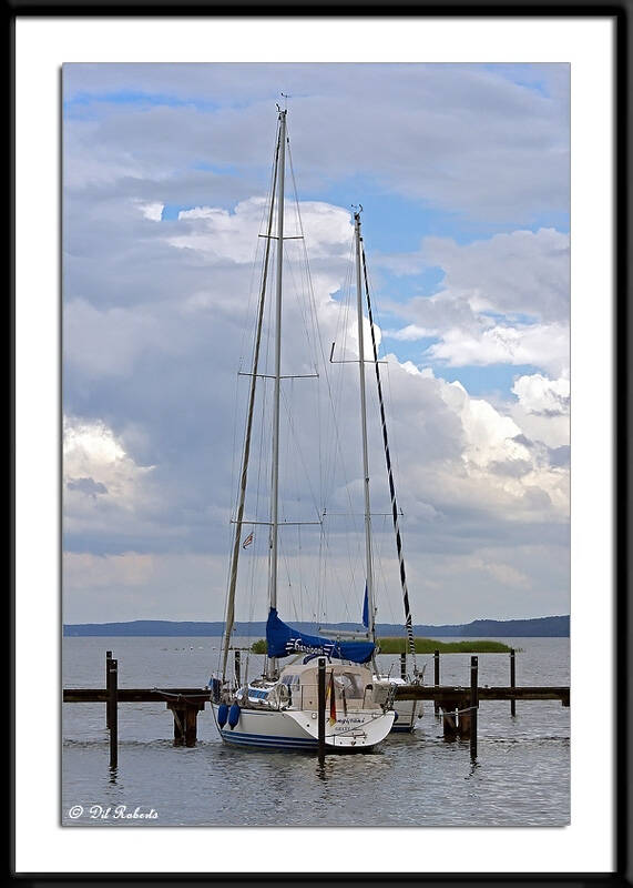 img_9364sstf-standard.jpg