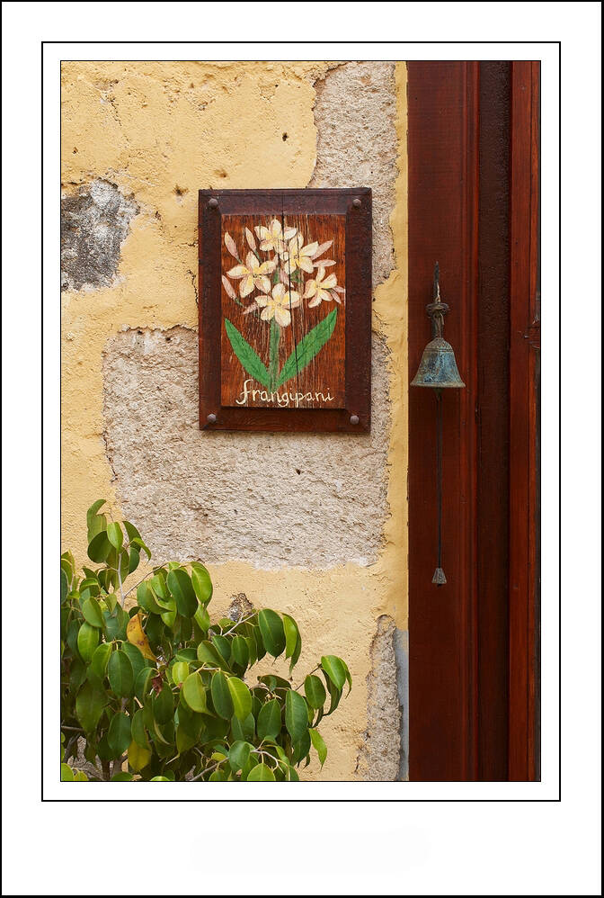 imgp6587sf-standard.jpg