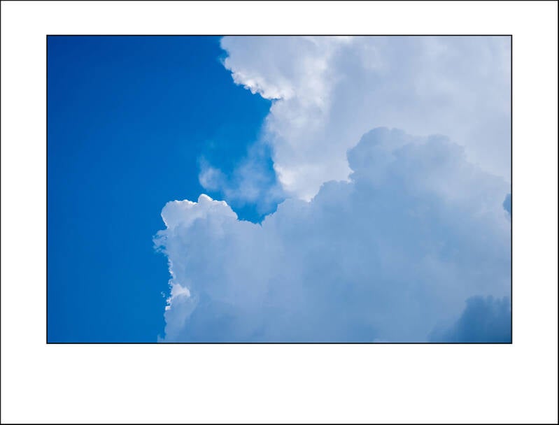 l1000040f-standard-pfut1f.jpg