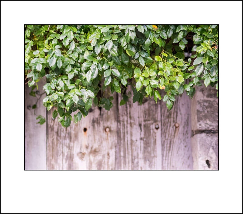 od290618-standard-en3ua4.jpg
