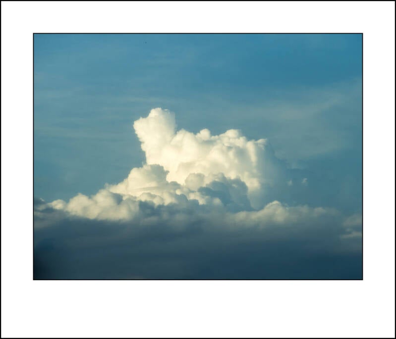 om210264f-standard.jpg
