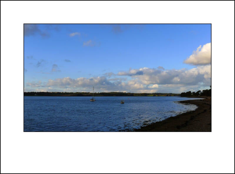 p1000202f-standard.jpg
