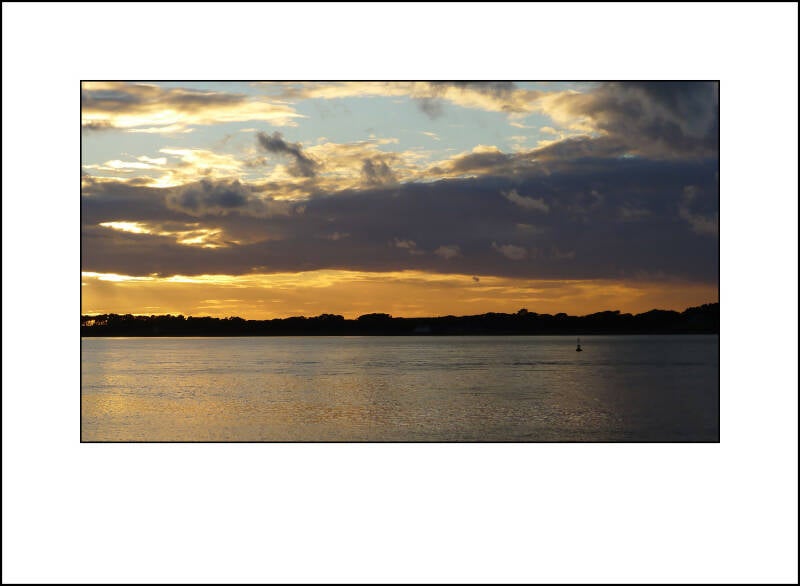 p1000268f-standard.jpg