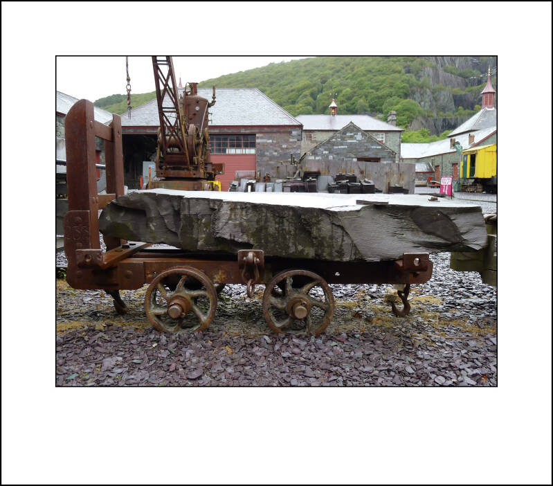 p1000361f-standard.jpg