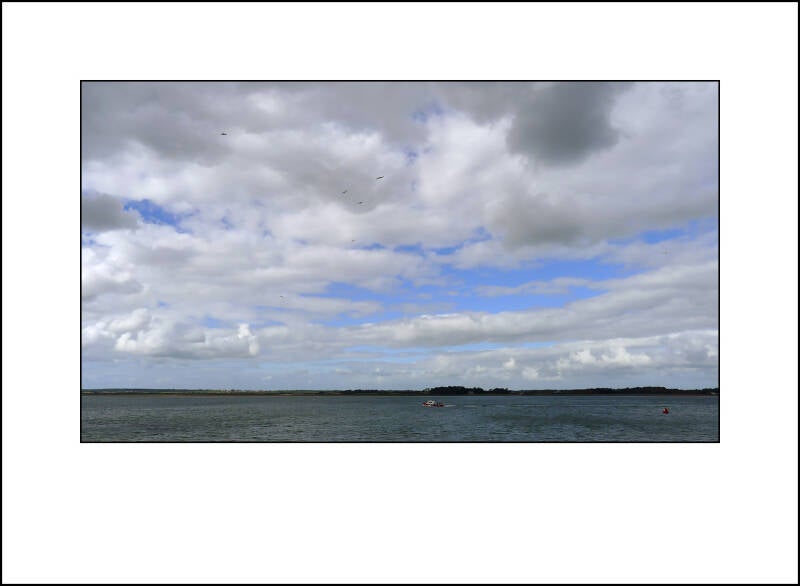 p1000394f-standard-bnn0b3.jpg