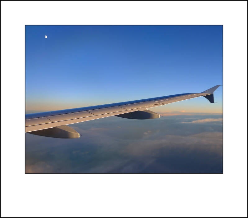 p1000497f-standard.jpg