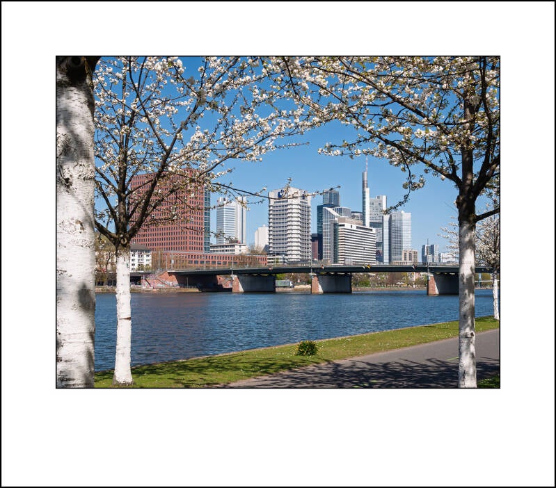 p1000577f-standard-n0hbna.jpg