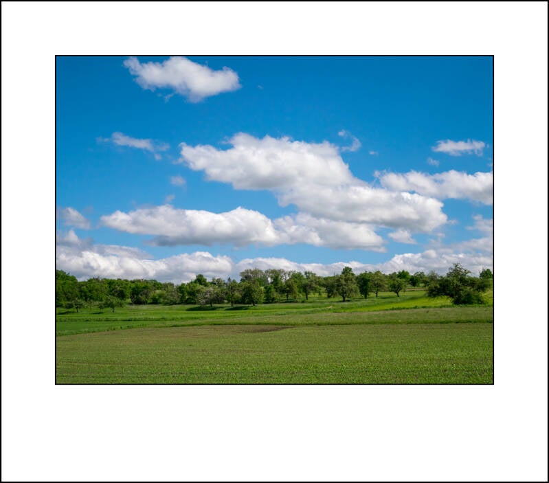 p1000950f-standard-adcy6m.jpg