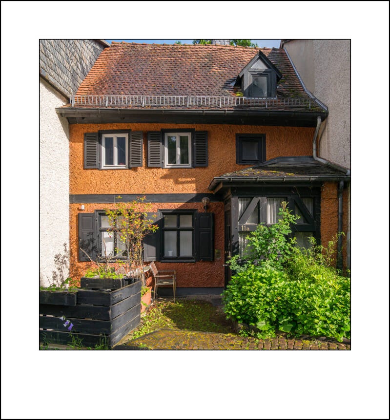 p1000988f-standard.jpg