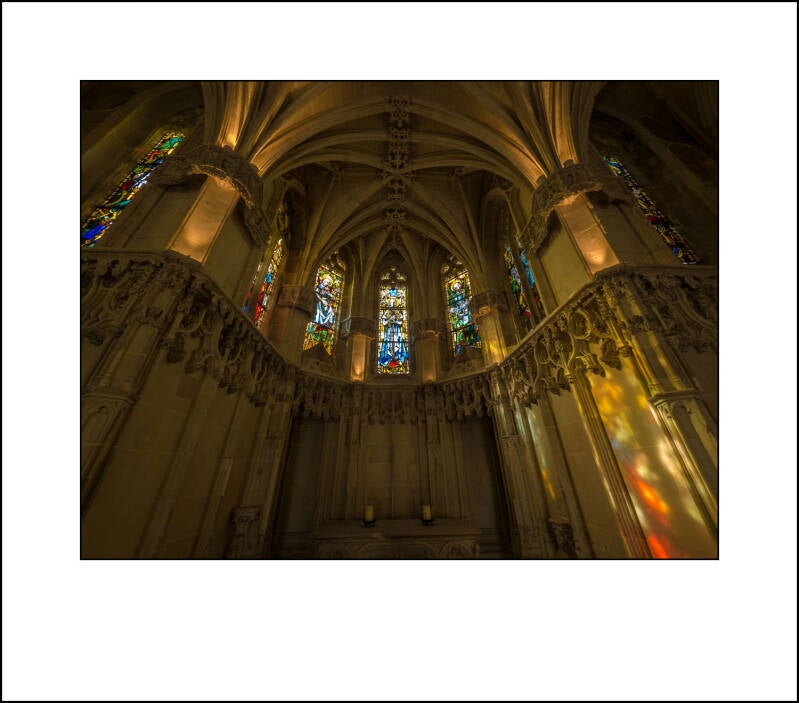 p1010390f-standard-lvdi49.jpg