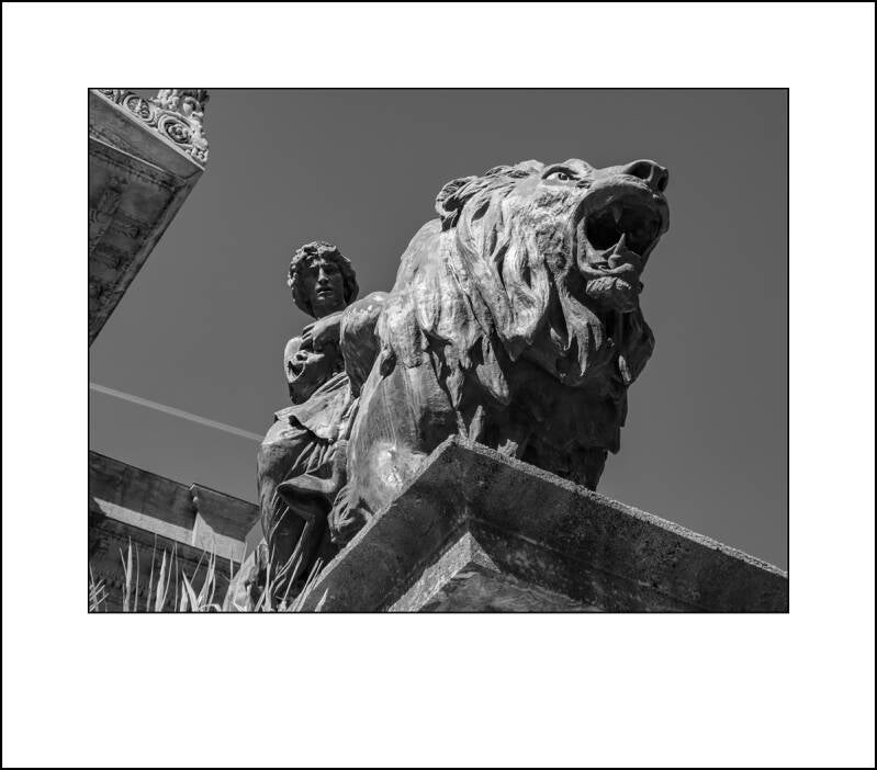 p1010435f-standard-96ca26.jpg