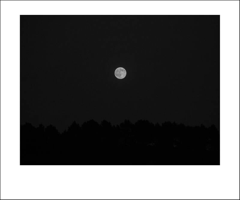 p1010480f-standard-u682j0.jpg
