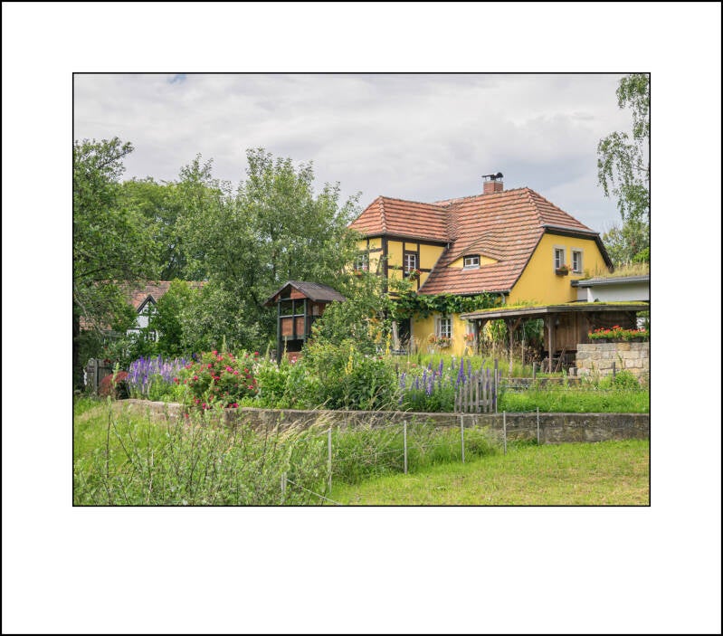p1010487f-standard-1cksb8.jpg