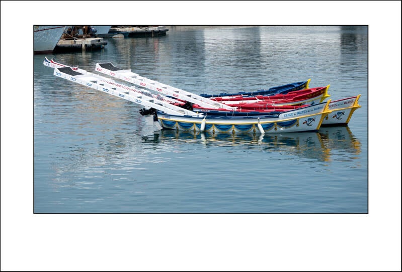 p1010562f-standard.jpg