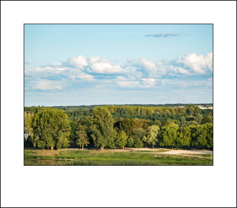 p1010652-standard.jpg