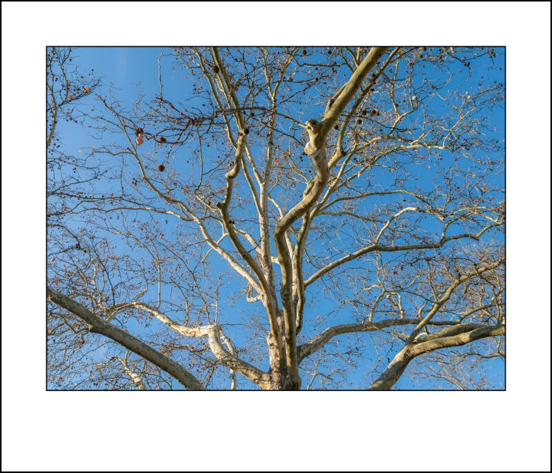p1010668f-standard-yiceit.jpg