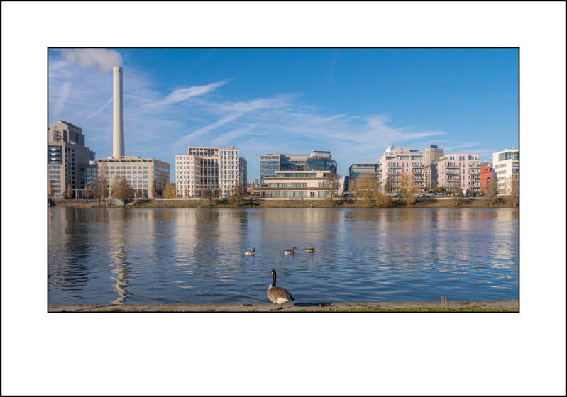 p1010687f-standard-n22hf1.jpg