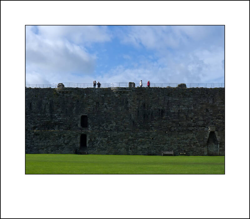 p1010690f-standard.jpg