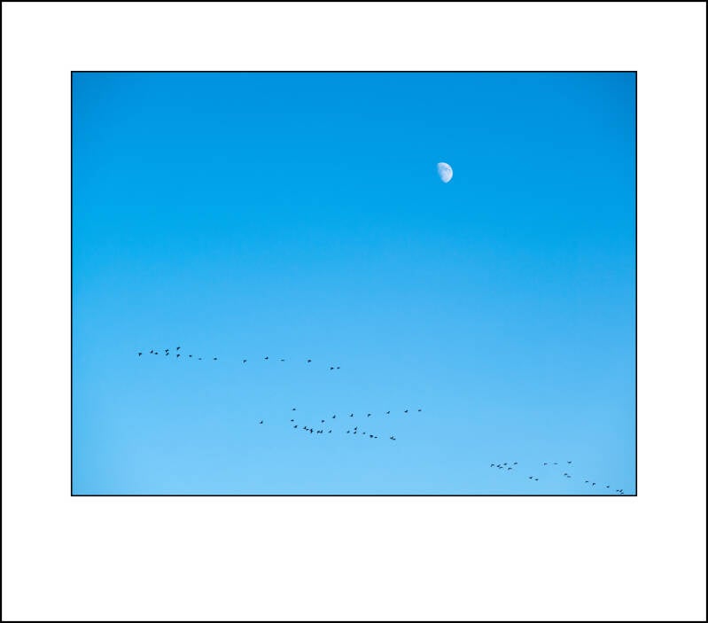 p1010691-standard-7r0d6l.jpg