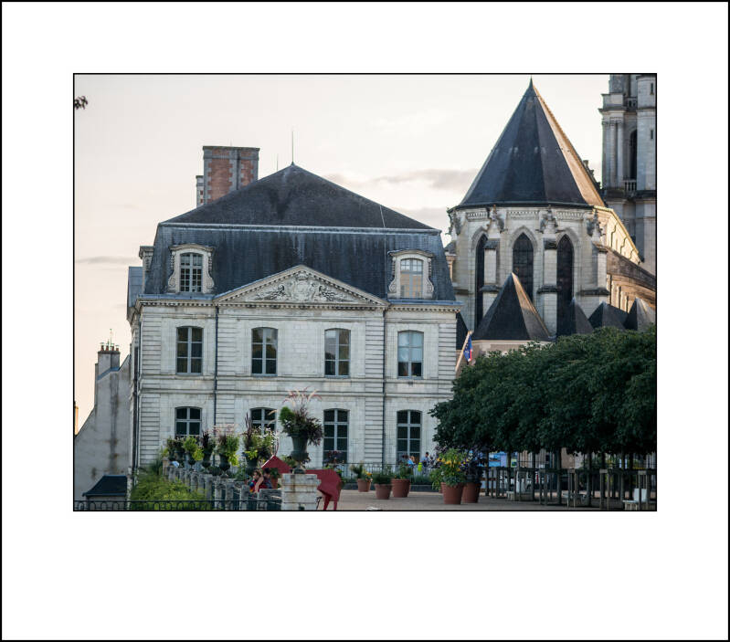 p1010712-standard.jpg