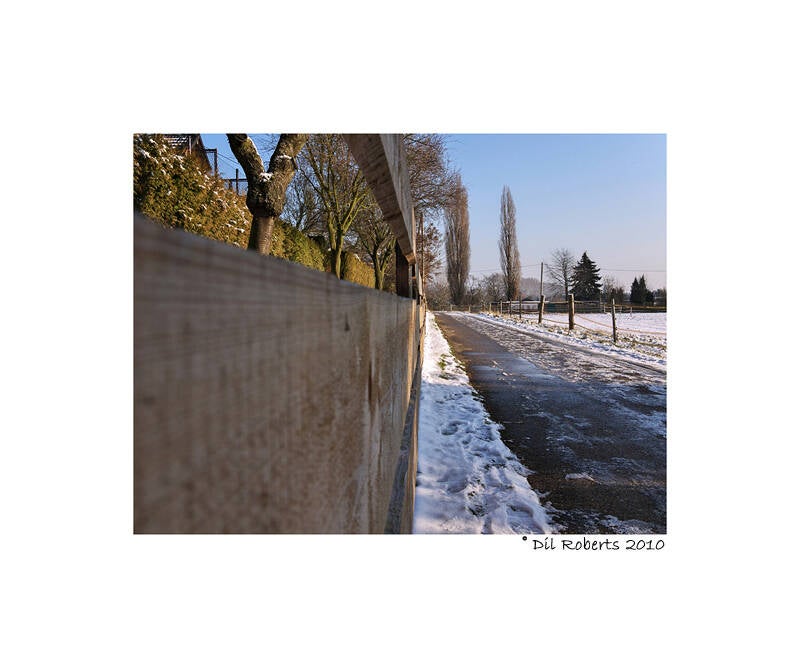 p1010853f-standard-1gi0fd.jpg