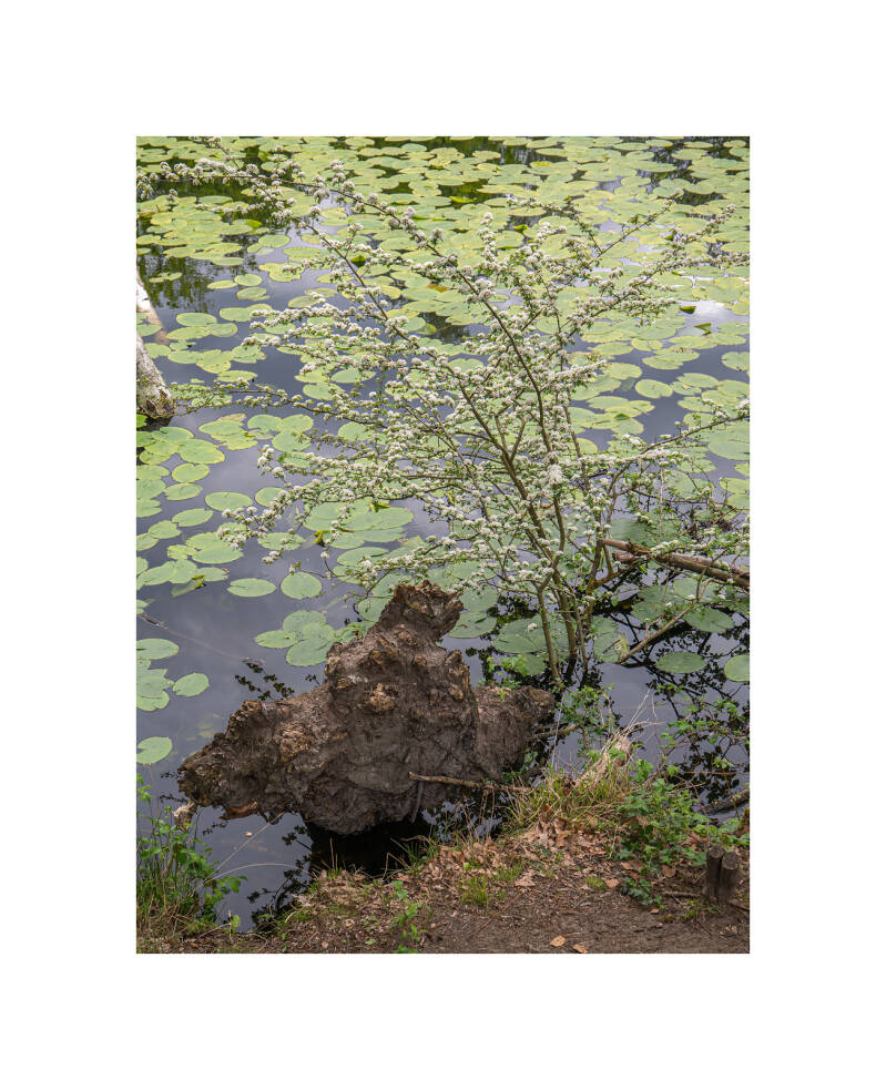 p1020513f-standard-9r9ur5.jpg