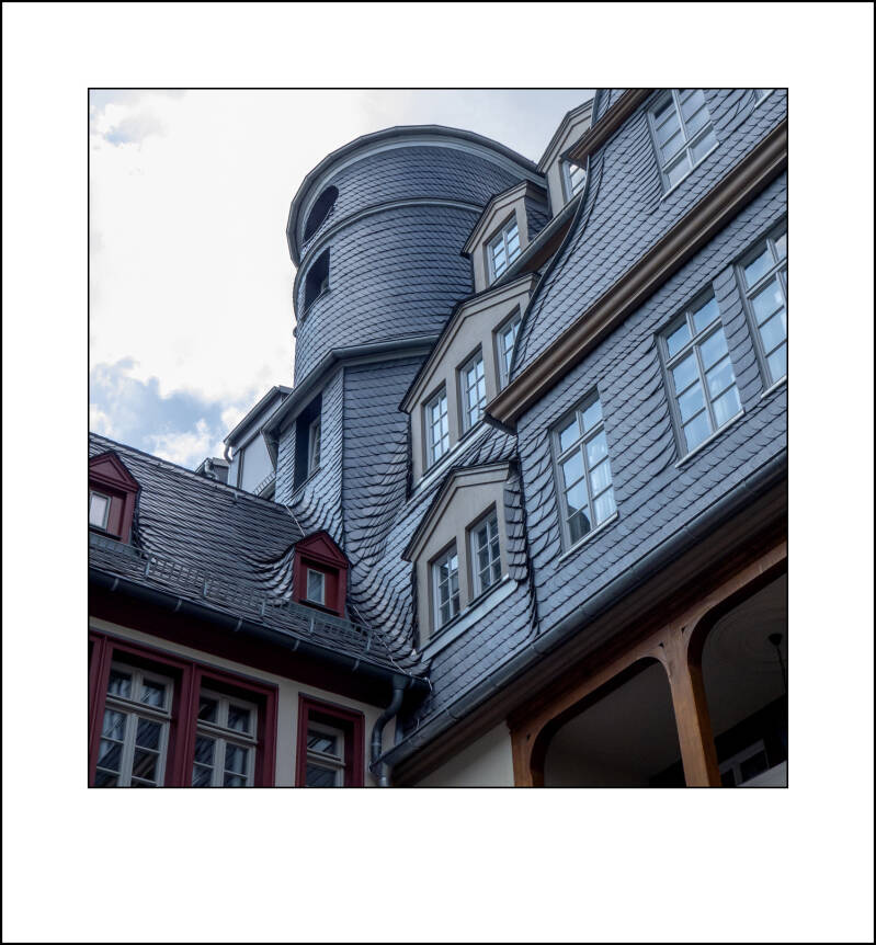 p1020720f-standard-pkjivy.jpg