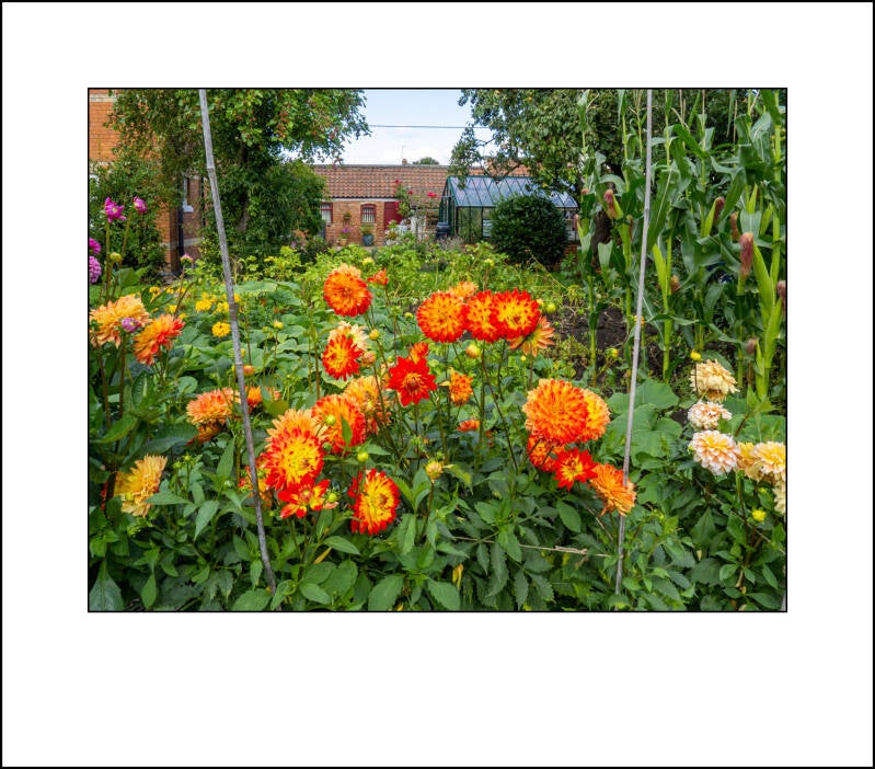 p1020743f-standard.jpg