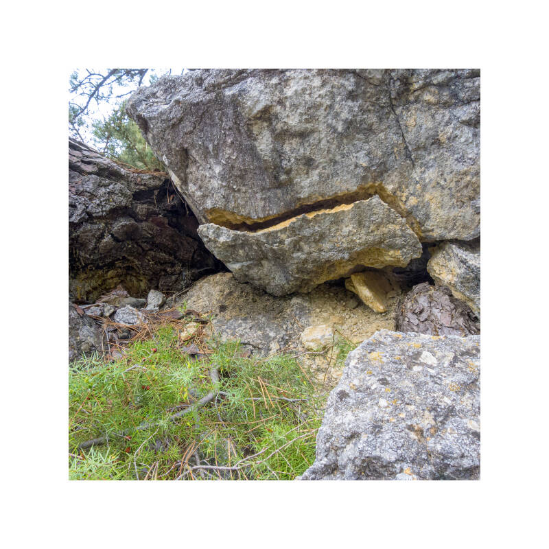 p1020957f-standard.jpg