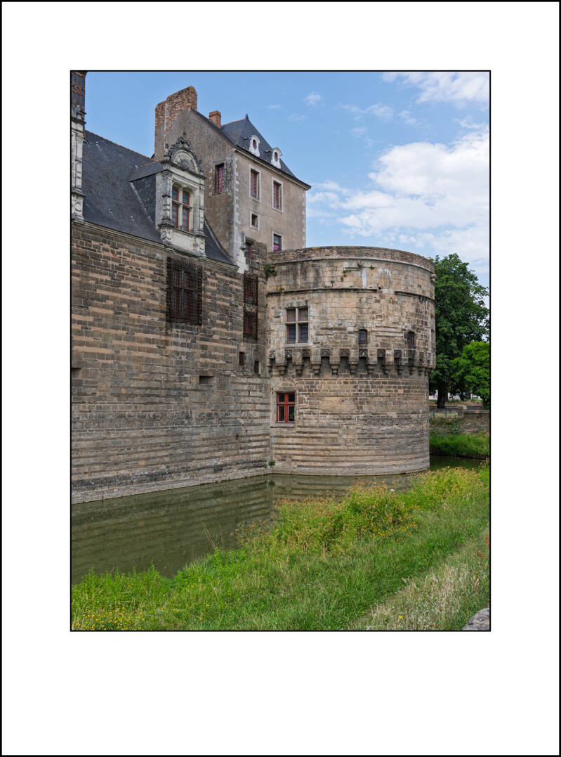 p1021731f-standard-jnltt4.jpg