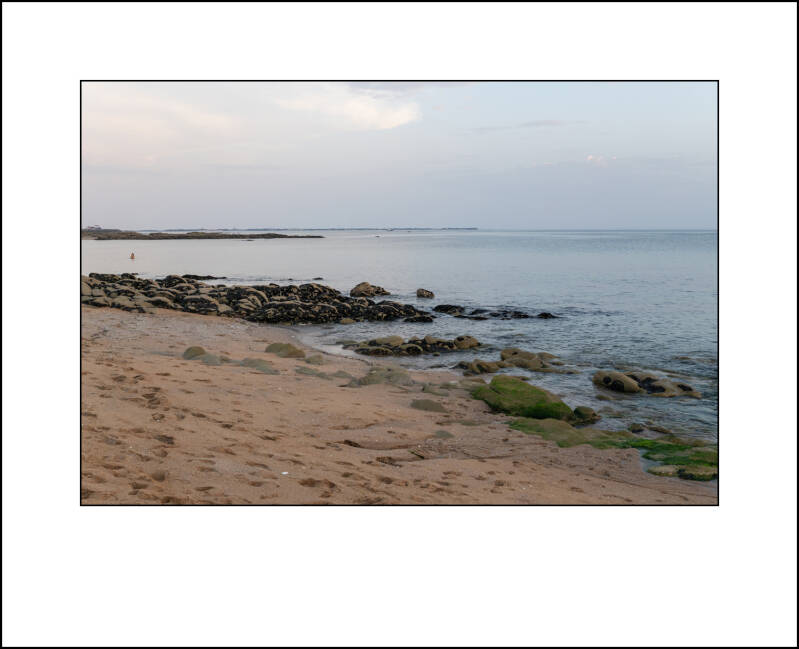 p1021771f-standard-ofqe5a.jpg