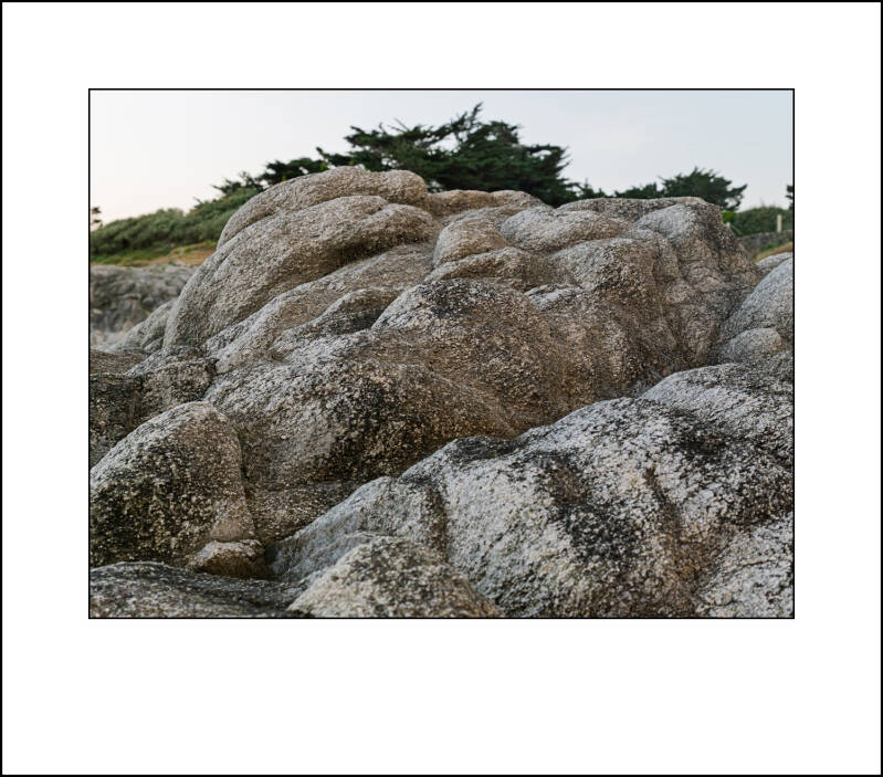 p1021844f-standard-fr1cl1.jpg