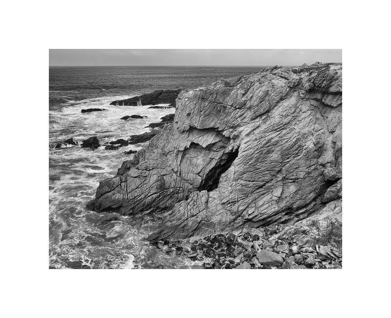 p1030022bf-standard.jpg