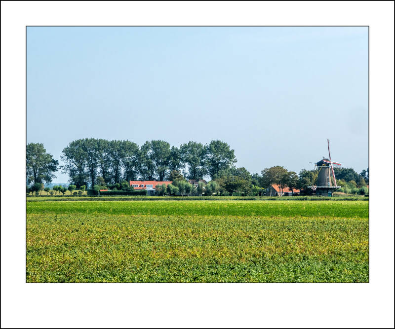 p1090115f-standard-mltz2o.jpg