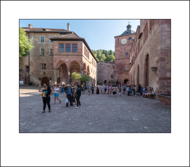 p1090857f-standard.jpg