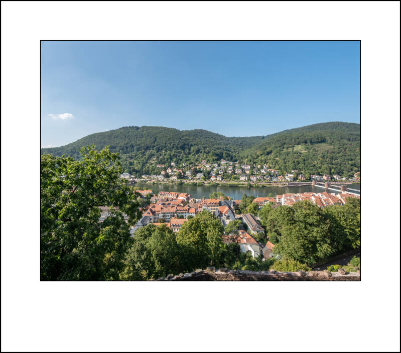 p1090873f-standard.jpg