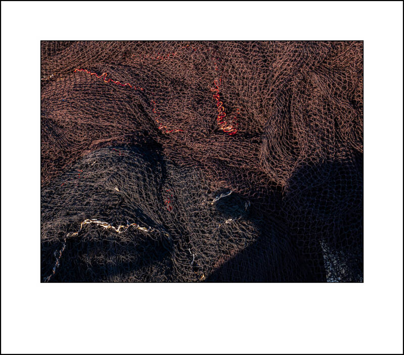 p1090945f-standard.jpg