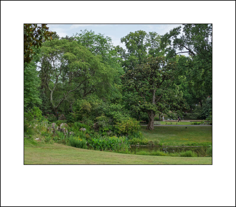 p1100199f-standard.jpg