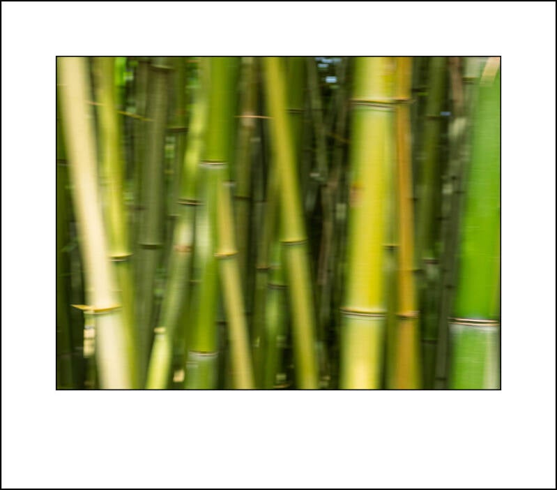 p1100248f-standard.jpg