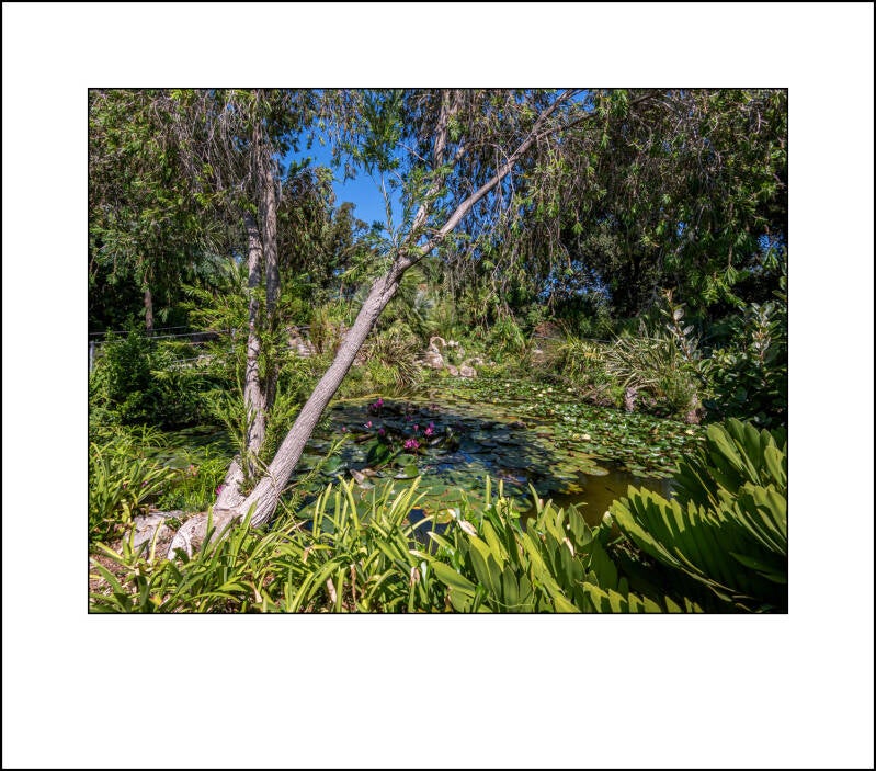 p1100268f-standard-adfrk9.jpg