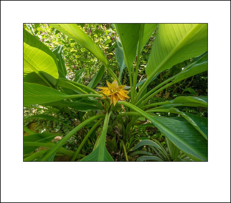 p1100324f-standard-j6gta2.jpg