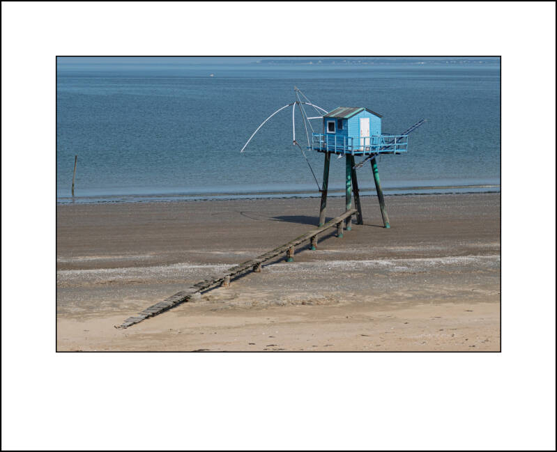 p1100741f-standard.jpg