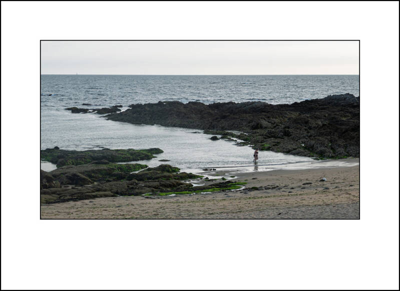 p1100816f-standard.jpg