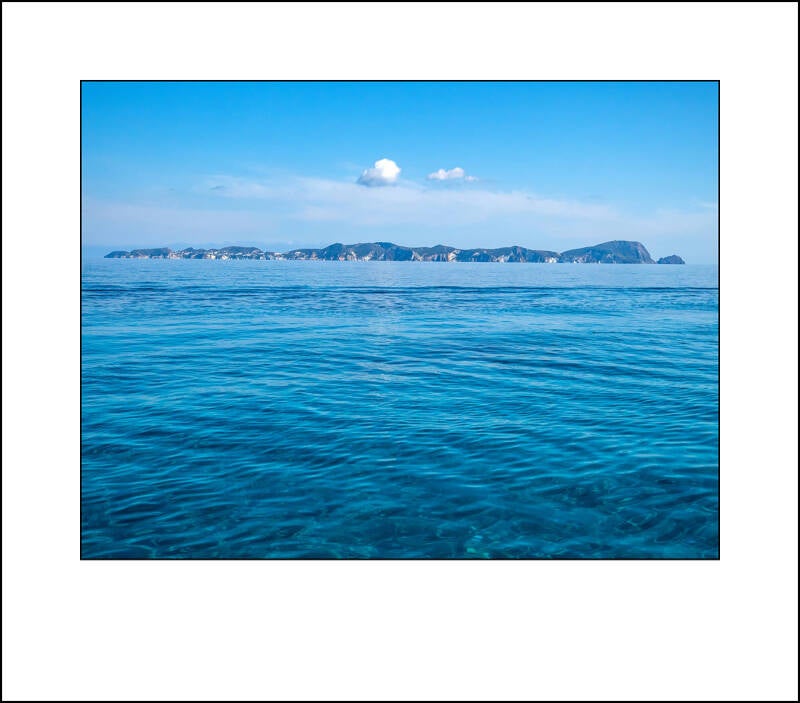 p1110401f-standard.jpg